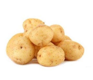 土豆不放冰箱有毒？