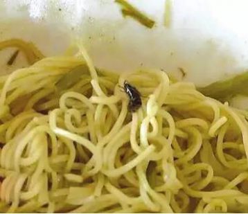 面条里吃出疑似蟑螂的虫子！海口国贸尊宝披萨店被责令整改